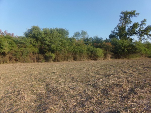 SE VENDE CAMPO. LOCALIDAD DE NAPENAY