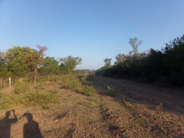 SE VENDE CAMPO. LOCALIDAD DE NAPENAY