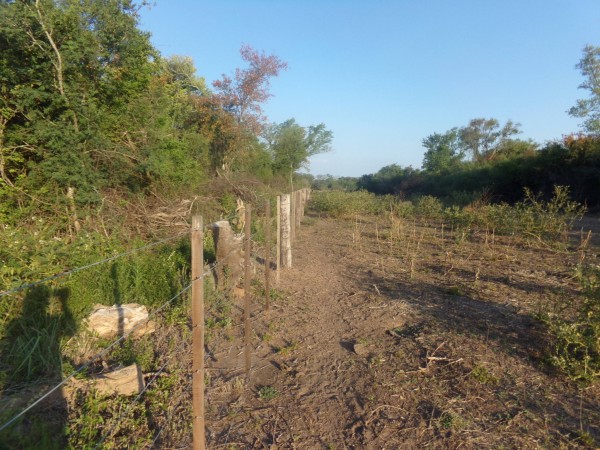 SE VENDE CAMPO. LOCALIDAD DE NAPENAY