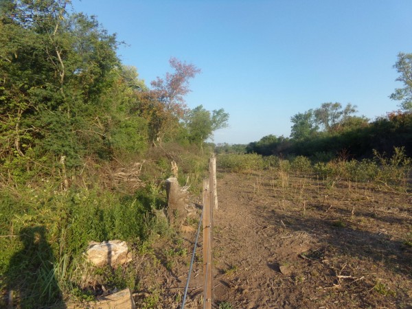 SE VENDE CAMPO. LOCALIDAD DE NAPENAY