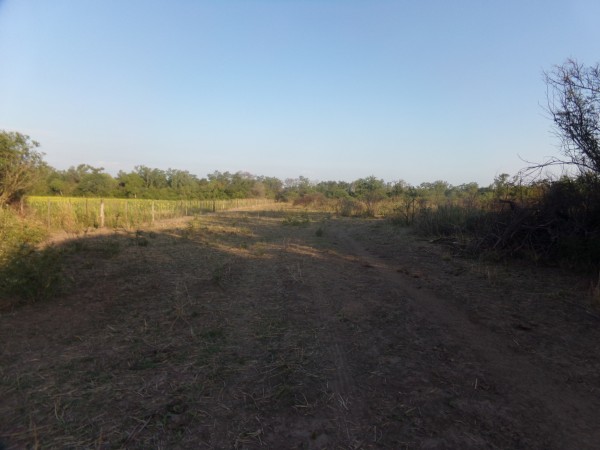 SE VENDE CAMPO. LOCALIDAD DE NAPENAY