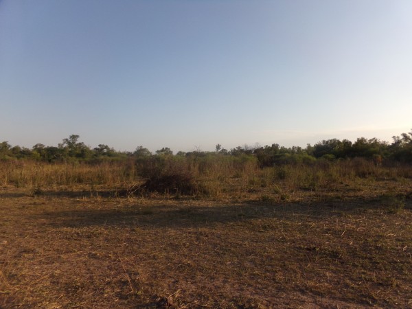 SE VENDE CAMPO. LOCALIDAD DE NAPENAY