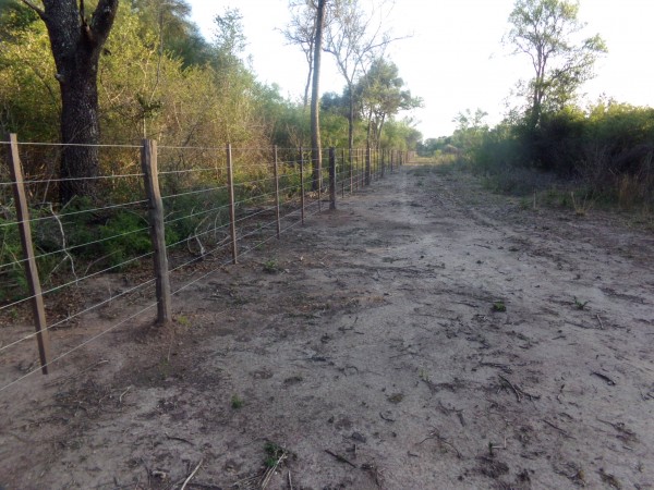 SE VENDE CAMPO. LOCALIDAD DE NAPENAY