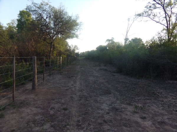 SE VENDE CAMPO. LOCALIDAD DE NAPENAY