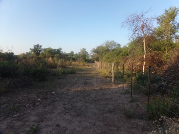 SE VENDE CAMPO. LOCALIDAD DE NAPENAY