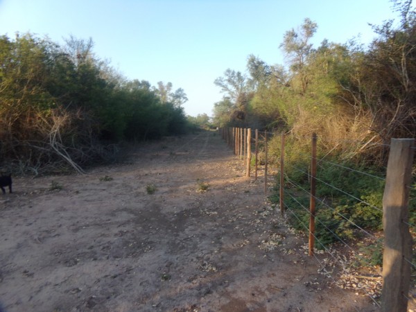 SE VENDE CAMPO. LOCALIDAD DE NAPENAY