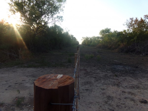 SE VENDE CAMPO. LOCALIDAD DE NAPENAY