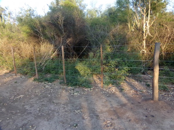 SE VENDE CAMPO. LOCALIDAD DE NAPENAY