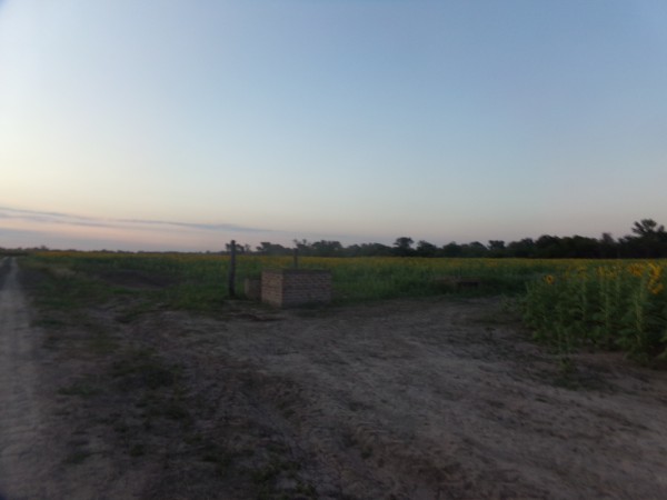 SE VENDE CAMPO. LOCALIDAD DE NAPENAY