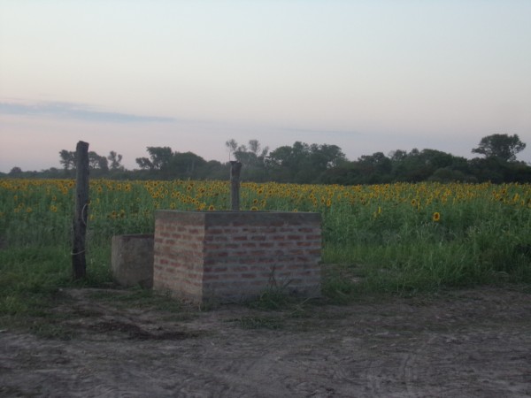 SE VENDE CAMPO. LOCALIDAD DE NAPENAY