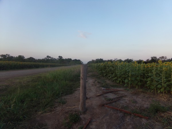 SE VENDE CAMPO. LOCALIDAD DE NAPENAY