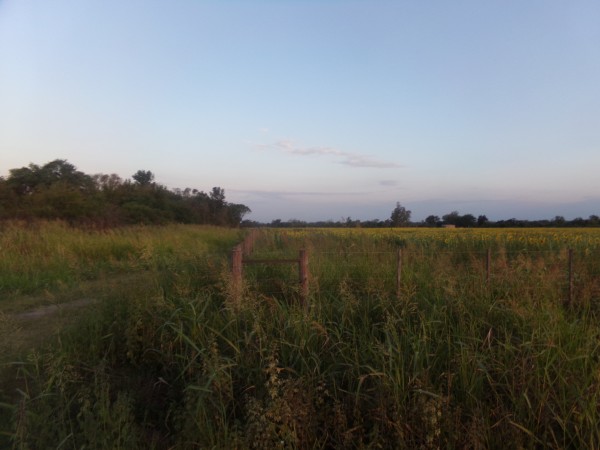 SE VENDE CAMPO. LOCALIDAD DE NAPENAY