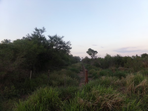 SE VENDE CAMPO. LOCALIDAD DE NAPENAY