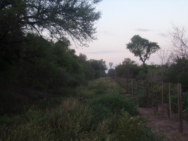 SE VENDE CAMPO. LOCALIDAD DE NAPENAY