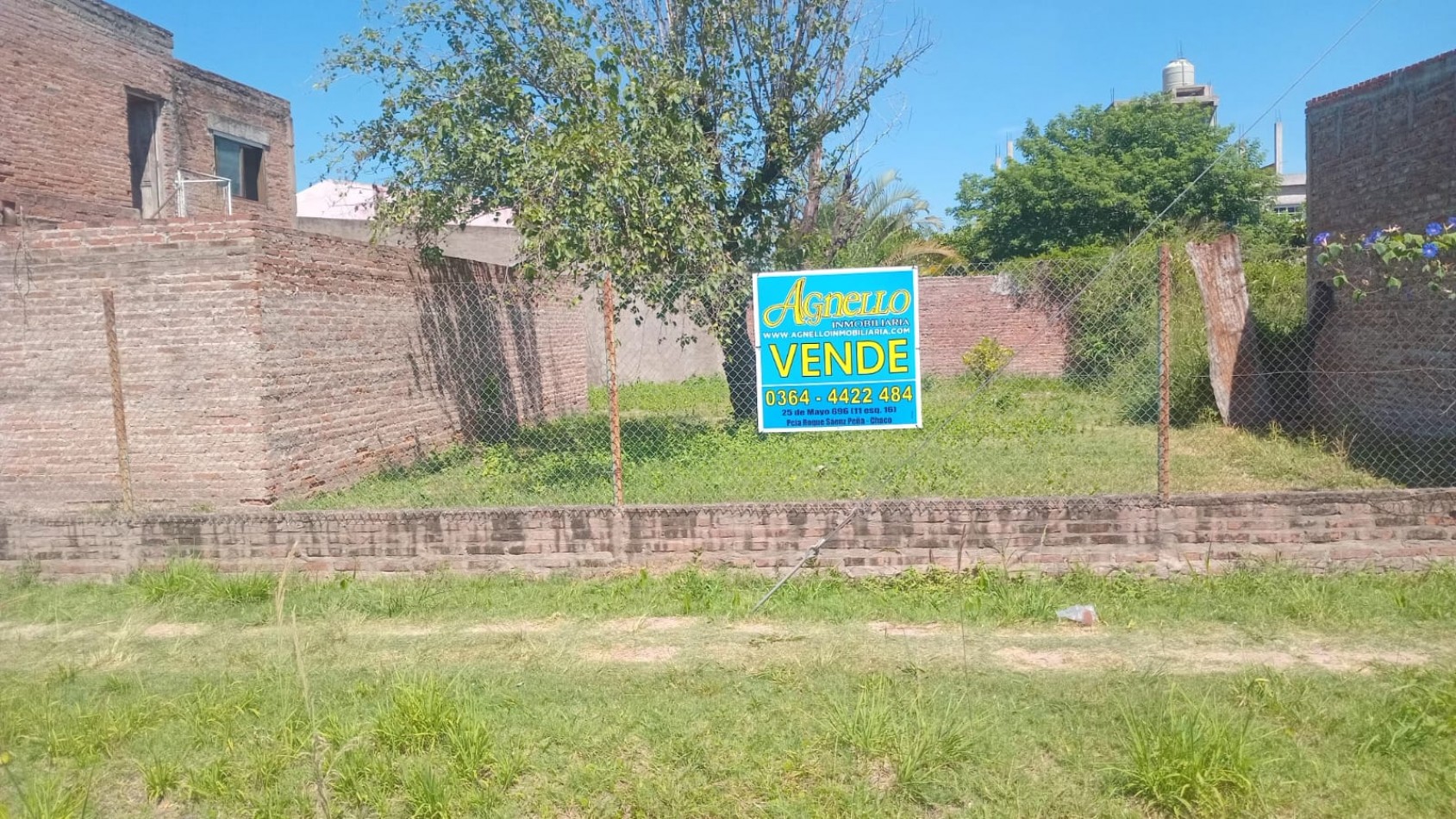 6 Y 3 LAMADRID