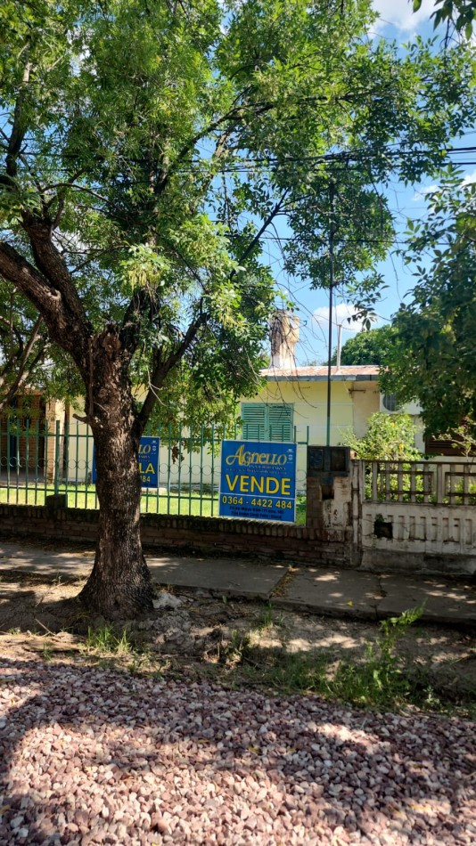 PLUMERILLO - 23BIS E/ 36 Y 38 YAPEYU