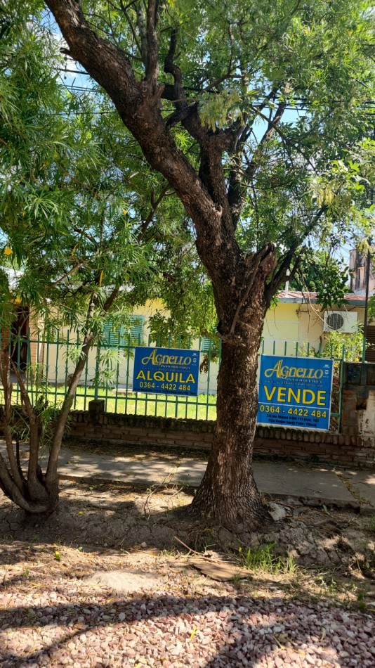 PLUMERILLO - 23BIS E/ 36 Y 38 YAPEYU