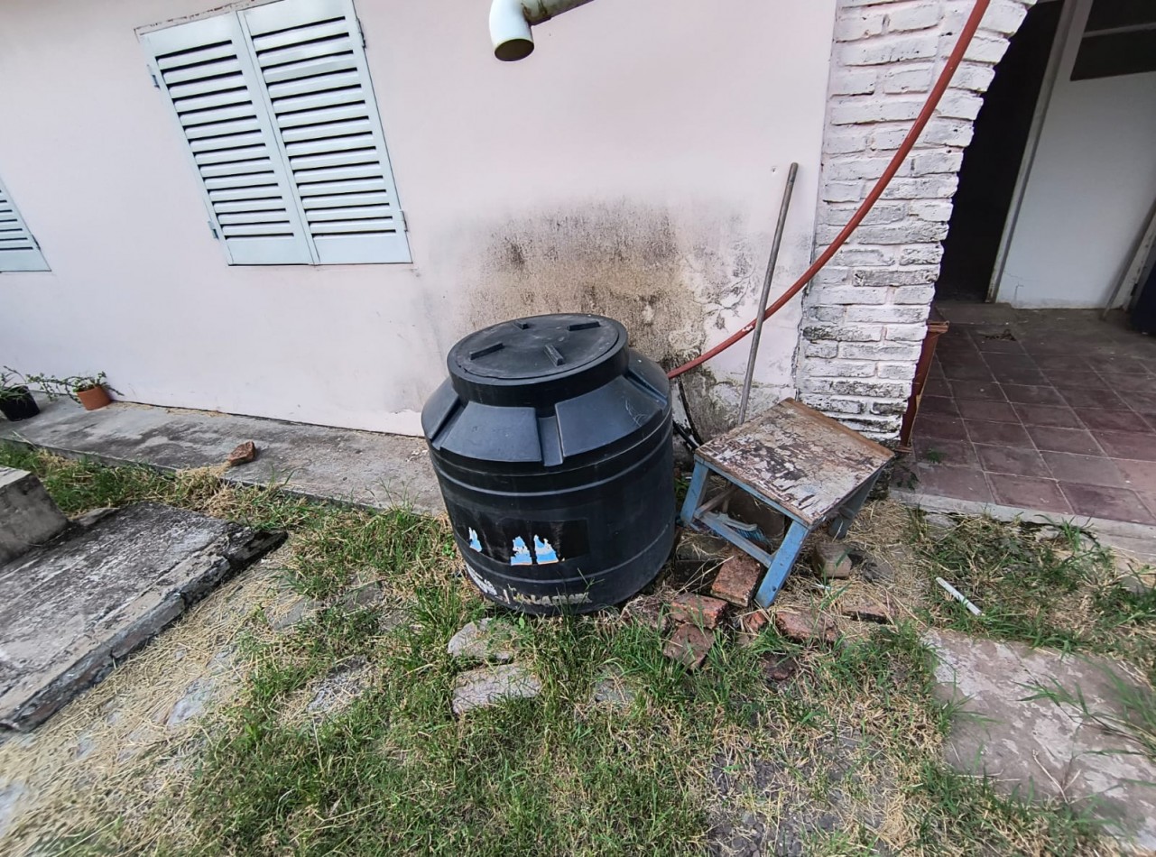 PLUMERILLO - 23BIS E/ 36 Y 38 YAPEYU