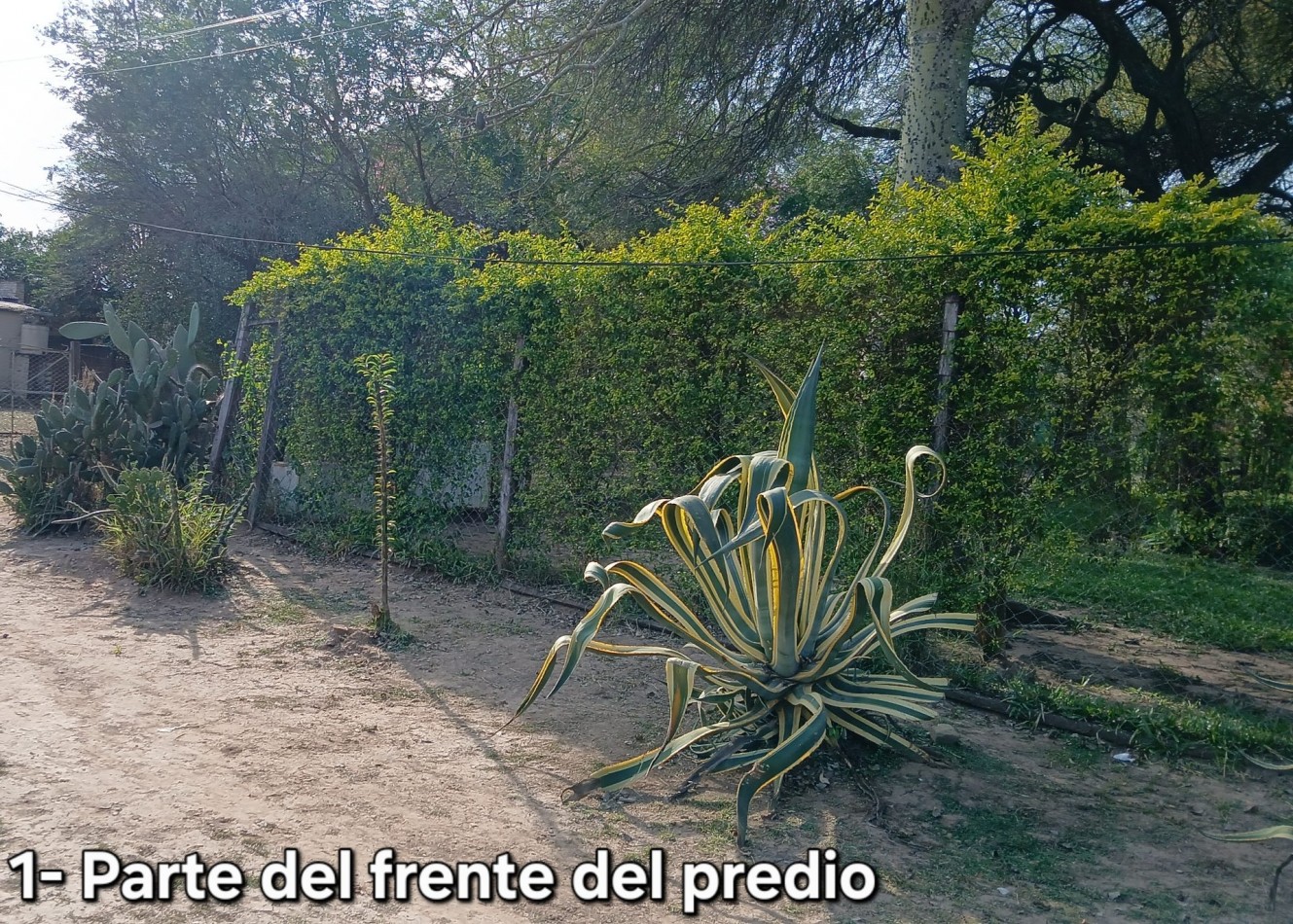 VILLA RIO BERMEJITO (predio parquizado y viviendas)