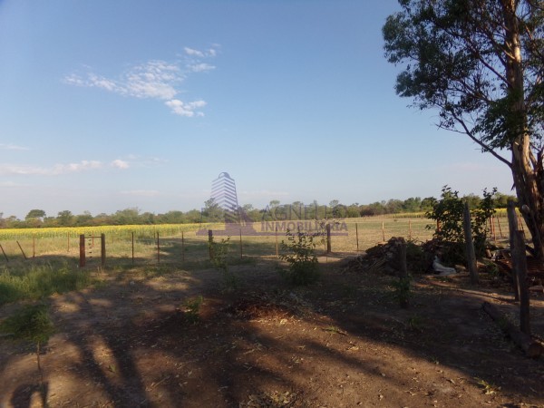 SE VENDE CAMPO. LOCALIDAD DE NAPENAY