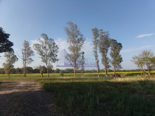 SE VENDE CAMPO. LOCALIDAD DE NAPENAY