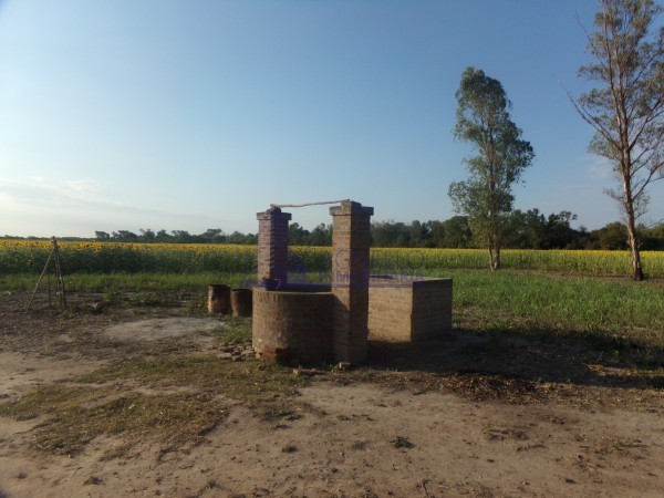 SE VENDE CAMPO. LOCALIDAD DE NAPENAY