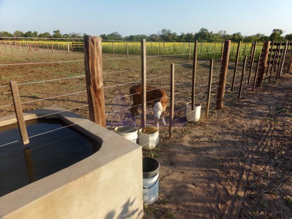 SE VENDE CAMPO. LOCALIDAD DE NAPENAY