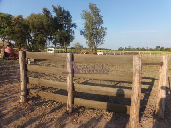 SE VENDE CAMPO. LOCALIDAD DE NAPENAY