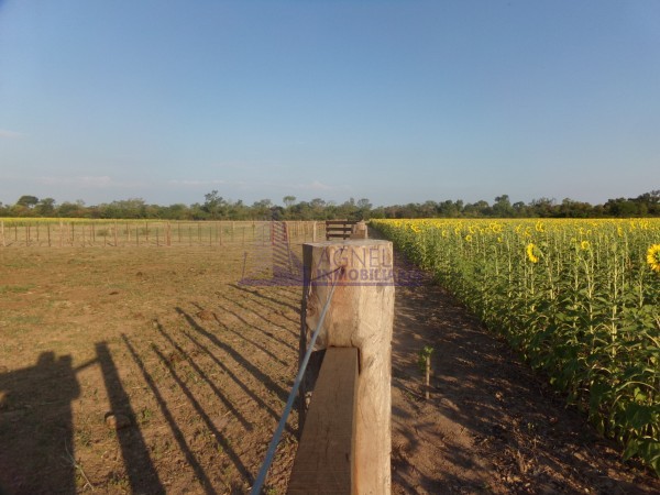 SE VENDE CAMPO. LOCALIDAD DE NAPENAY