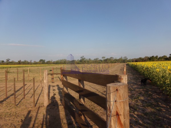 SE VENDE CAMPO. LOCALIDAD DE NAPENAY