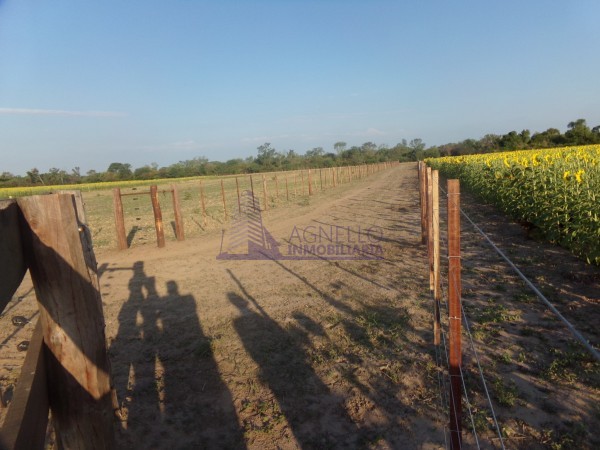 SE VENDE CAMPO. LOCALIDAD DE NAPENAY