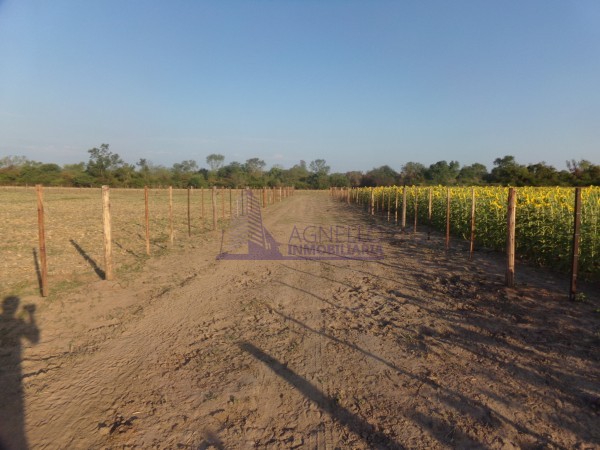 SE VENDE CAMPO. LOCALIDAD DE NAPENAY