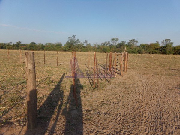 SE VENDE CAMPO. LOCALIDAD DE NAPENAY