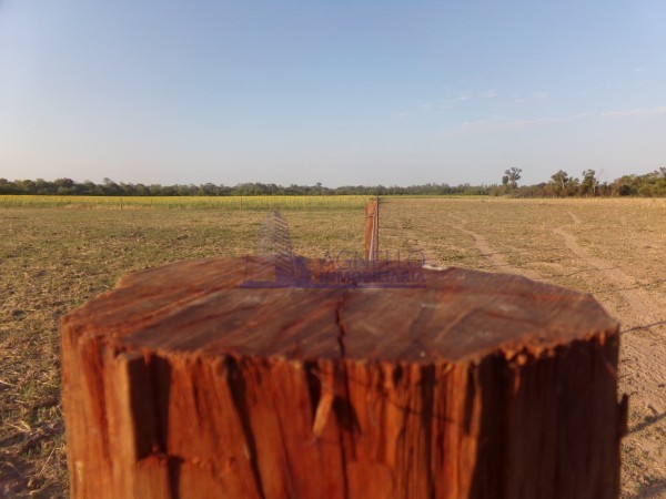 SE VENDE CAMPO. LOCALIDAD DE NAPENAY