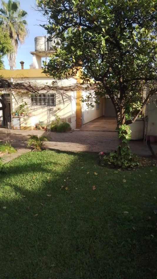 M. MORENO 1625 - 14 ENTRE 33 Y 35 PUIGBO